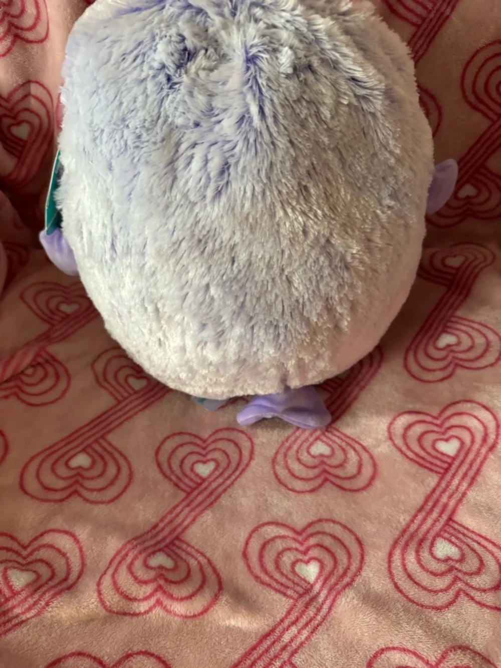 Squishmallows Lavender Plush Small Pet Snuggle Buddy